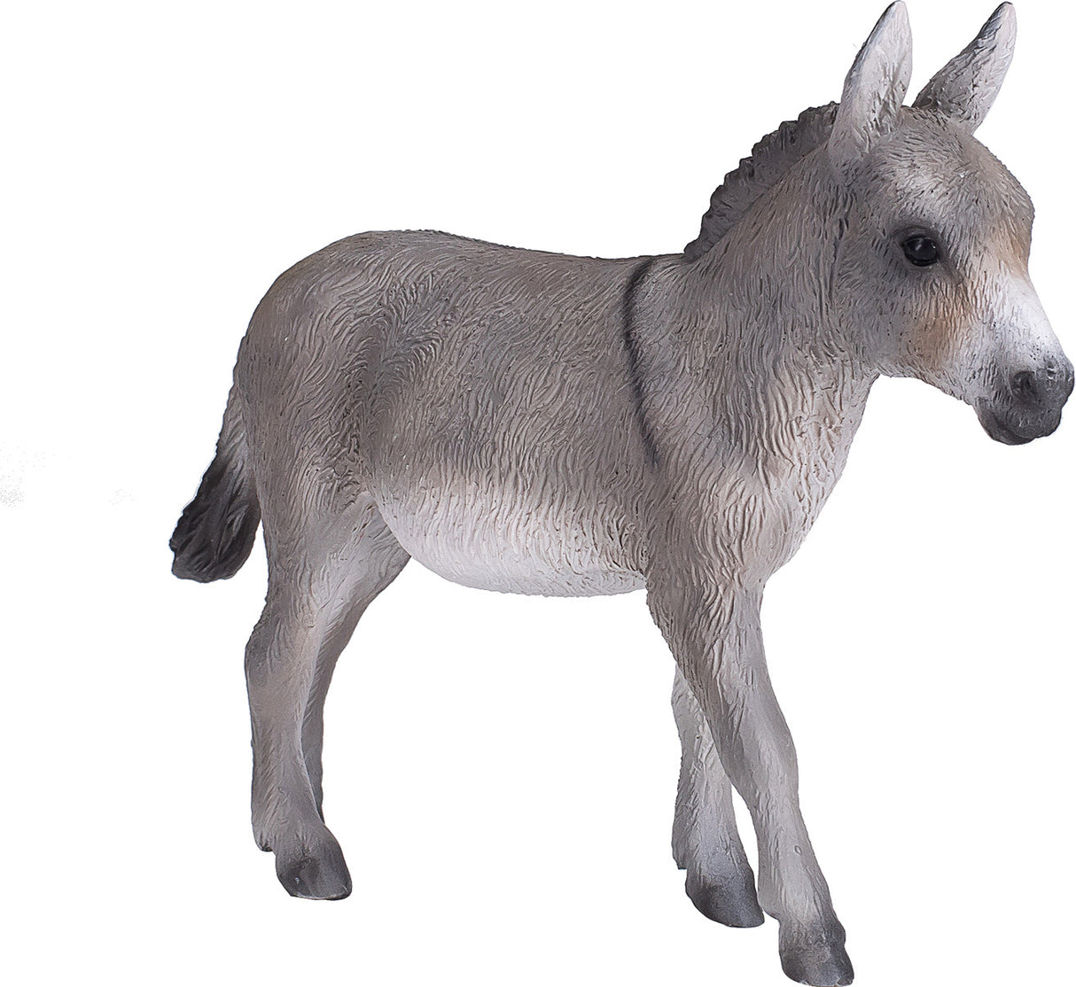 Donkey