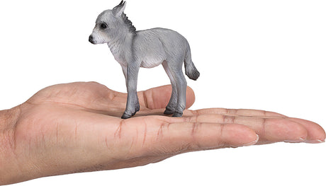 Donkey Foal