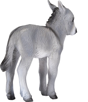 Donkey Foal
