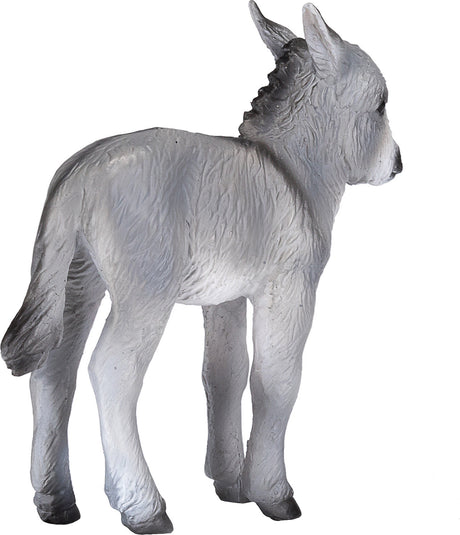 Donkey Foal