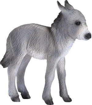 Donkey Foal