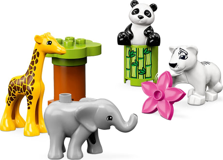 Baby Animals