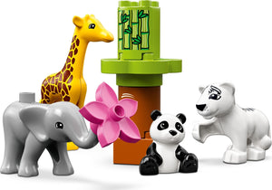 Baby Animals