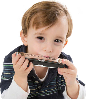 Harmonica