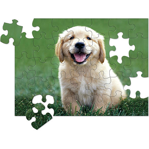 0030 PC Golden Retriever Puppy Cardboard Jigsaw