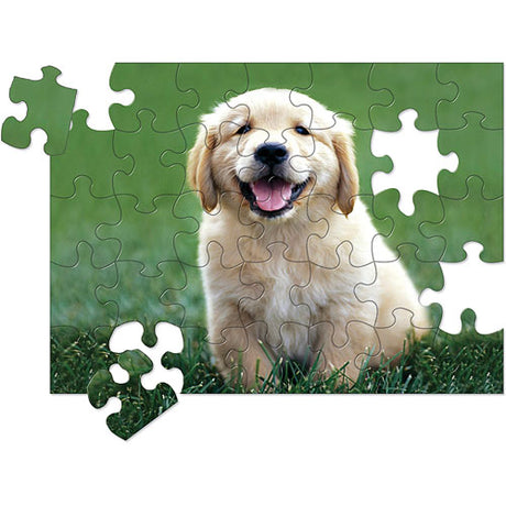 0030 PC Golden Retriever Puppy Cardboard Jigsaw