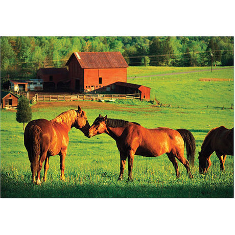 0200 PC Kissing Horses Cardboard Jigsaw