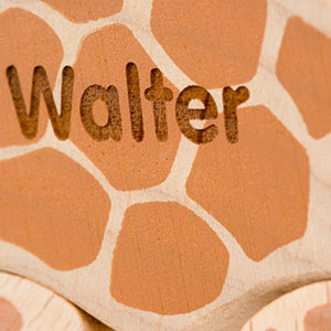 Giraffe Grasping Toy
