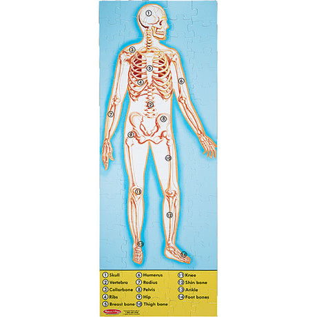 Human Anatomy Floor Puzzle - Double-Sided - 100 Pieces