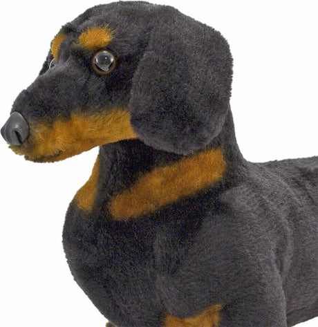 Dachshund Dog Giant Stuffed Animal