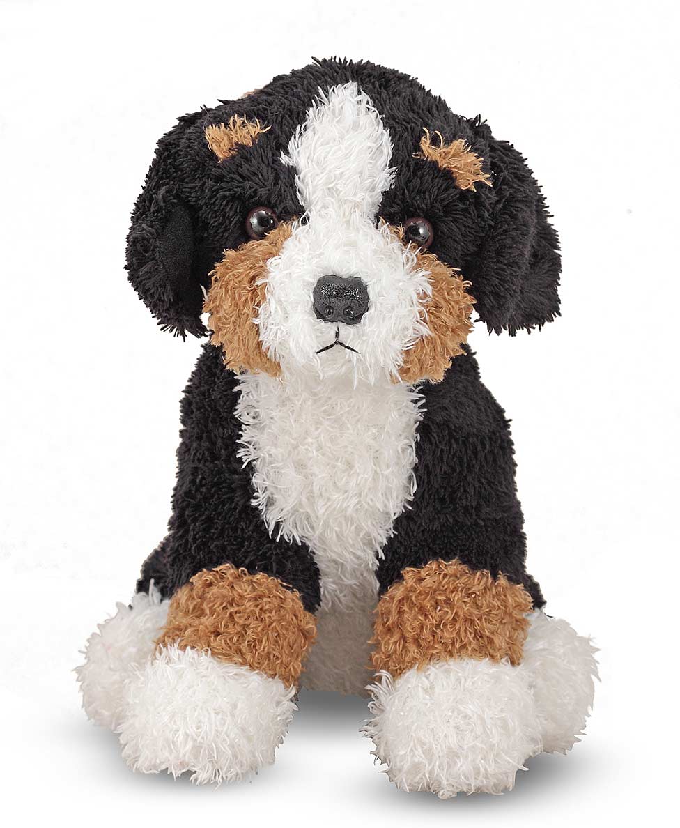 Barkley Bernese