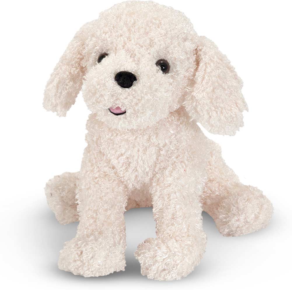 Fluffy Bichon Frise