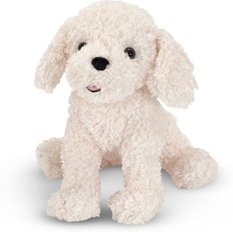 Fluffy Bichon Frise