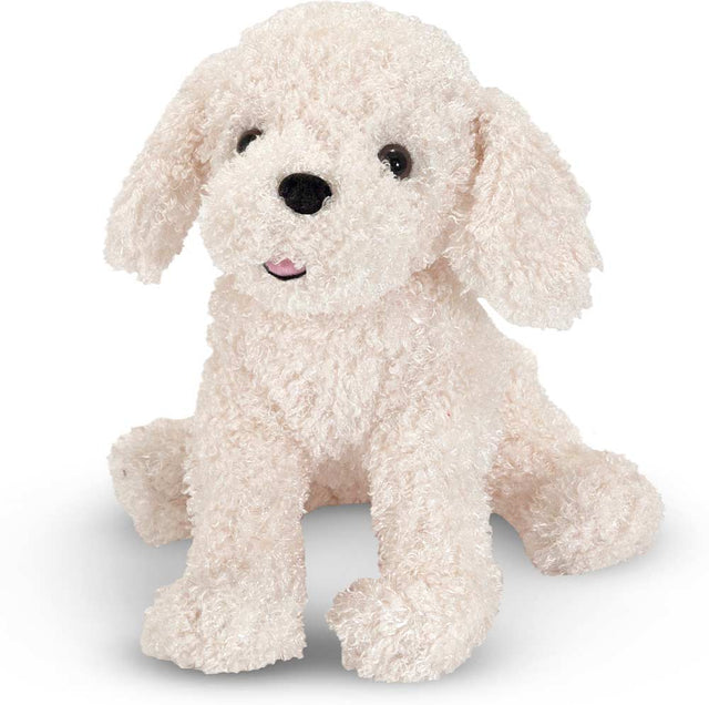 Fluffy Bichon Frise
