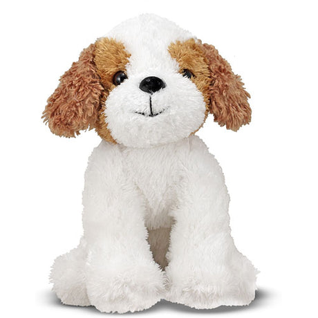 Jackson Jack Russell Terrier