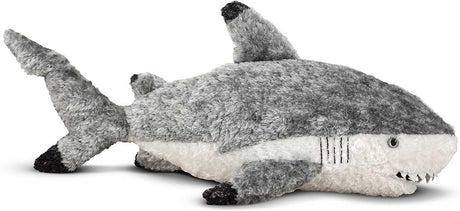 Finn Shark