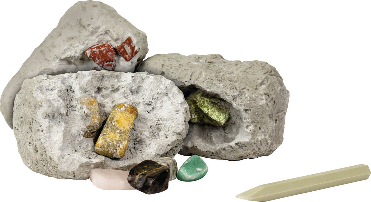 Dig It Up! Minerals And Fossils