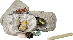 Dig It Up! Minerals And Fossils