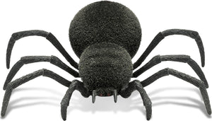 Spooky Spider