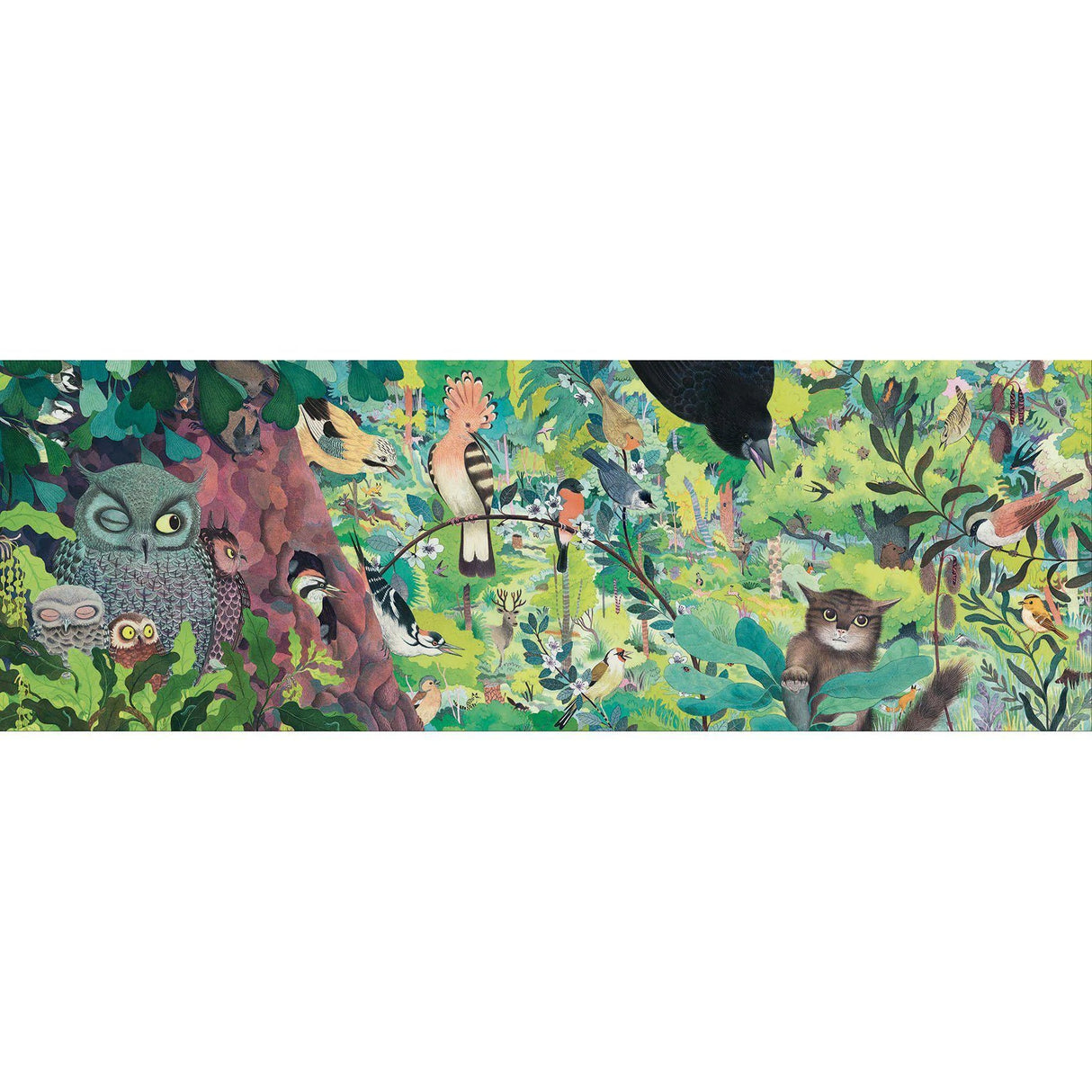 Gallery 1000pc Puzzle - Owls and Birds