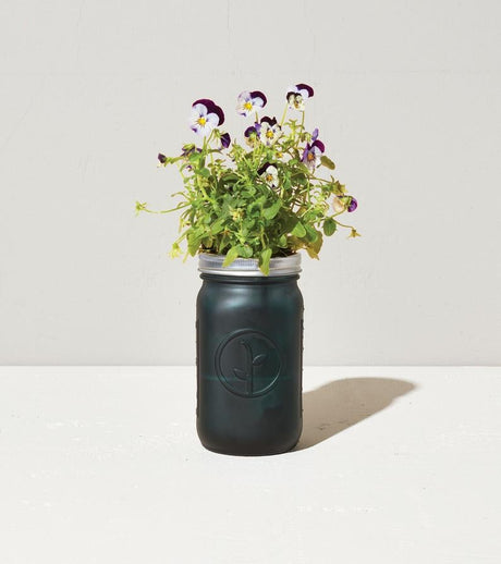 Garden Jar - Pansy