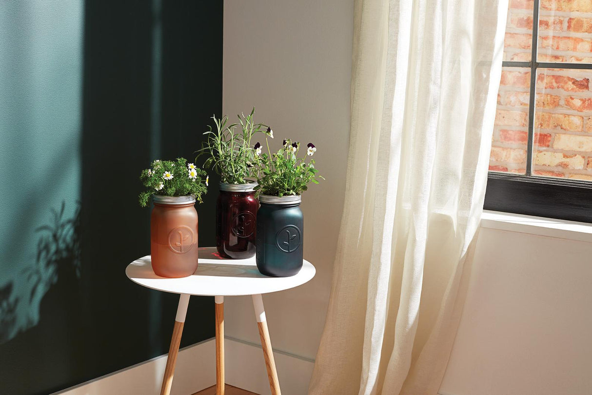 Garden Jar - Pansy