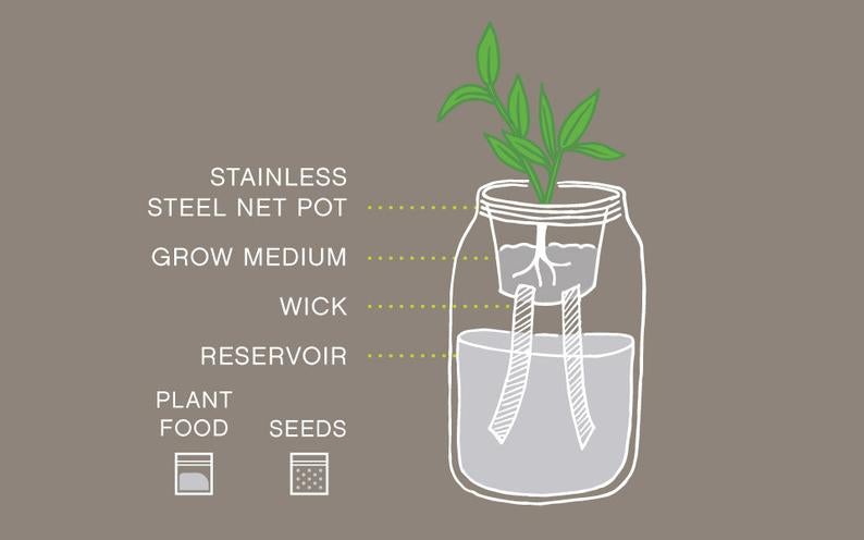 Garden Jar - Pansy