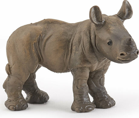 Rhinoceros Calf