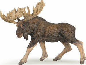 Moose