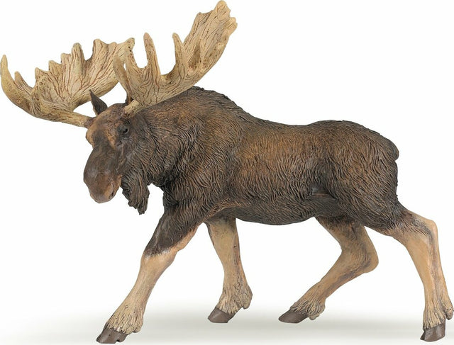 Moose