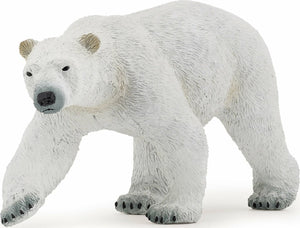 Polar Bear