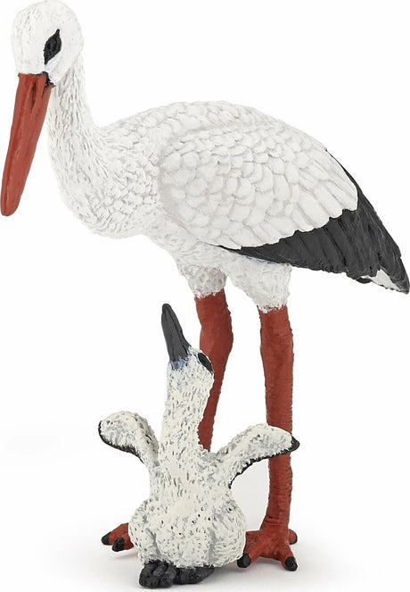 Stork And Baby Stork