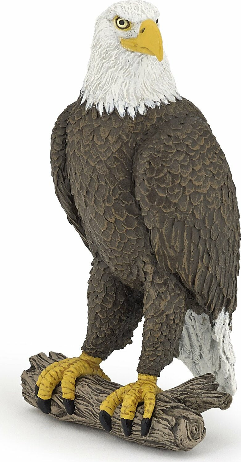 Sea Eagle