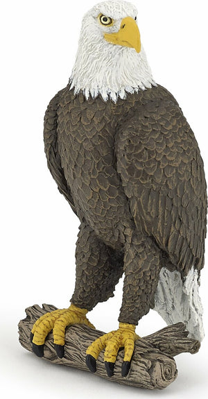Sea Eagle