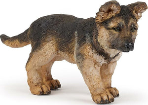 German Shepherd Pup