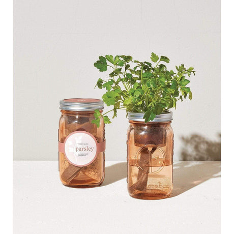 Garden Jar - Parsley