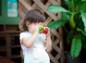 Mushroom Kaleidoscope