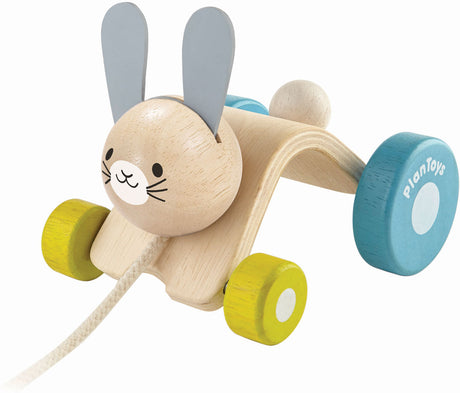 Hopping Rabbit