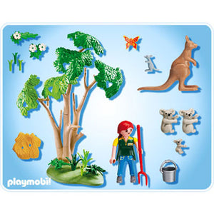 Koala Bears With Kangaroo