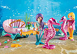 Starterpack Seahorse Carriage
