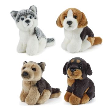 Mini Dogs Assorted