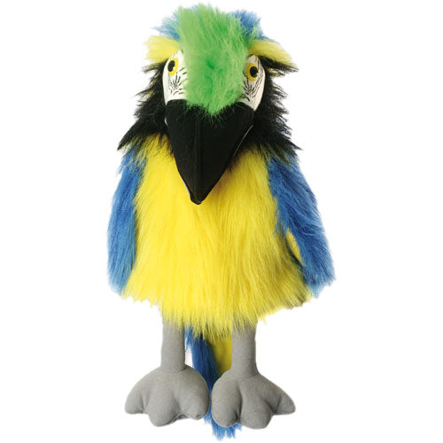 Large Birds - Blue & Gold Macaw