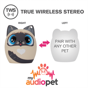 Audio Pet - Perfect Pitch Cat