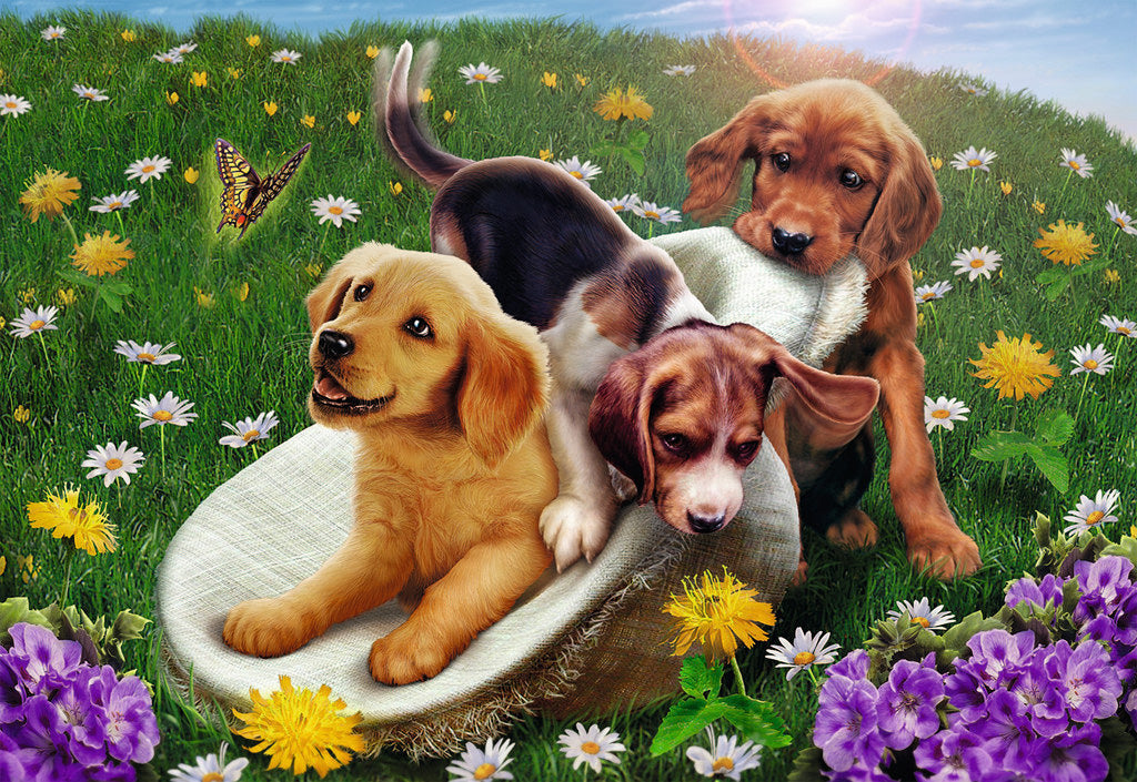 Frolicking Puppies