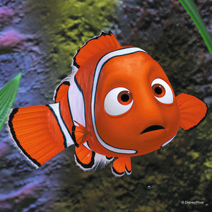 Finding Nemo: In the Aquarium
