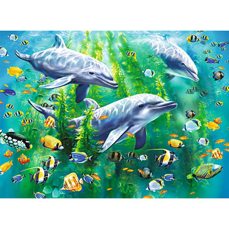 Dolphin Trio