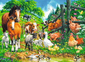 Animals Get Together