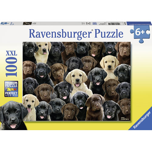 Labradors