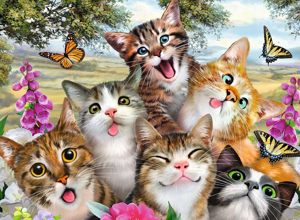 Friendly Felines