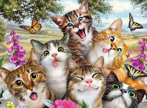 Friendly Felines
